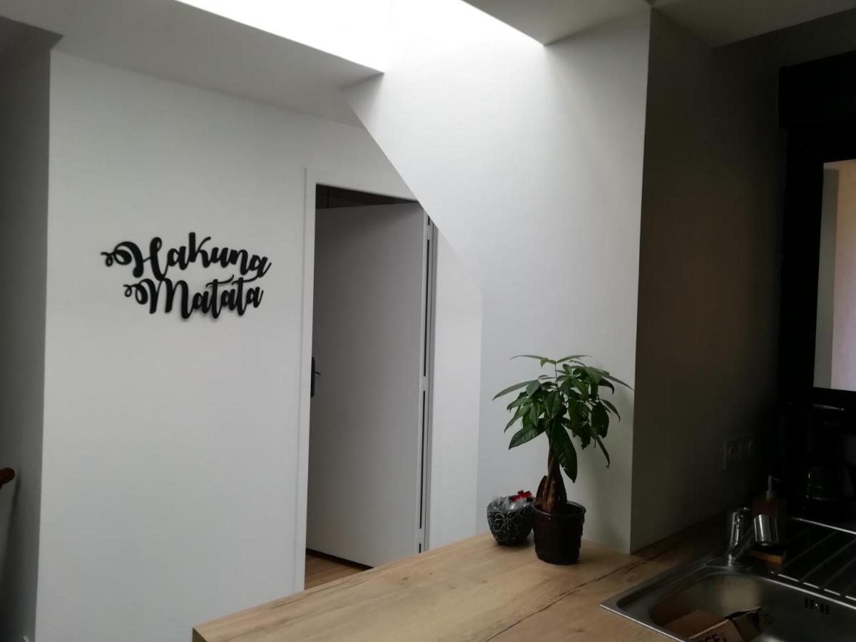 Apartament Au Rythme De Concarneau Zewnętrze zdjęcie